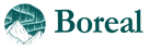 Boreal logo with a mountain design on a white background